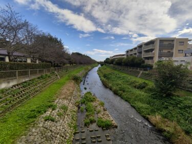 野川に氾濫危険情報の発表相次ぐ 早急な河川整備と対策強化を要望